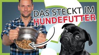 Was steckt wirklich im HUNDEFUTTER? [Die unbequeme Wahrheit]