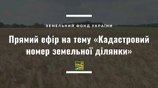 Кадастровий номер земельної ділянки//ЗФУ