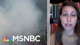 Full Lopes: Amazon Wildfire Will Be Discussed At G-7 Emergency Meeting | MTP Daily | MSNBC