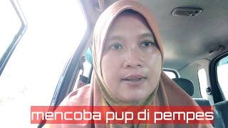 PUP DAN KENCING DI PEMPES //vlog lory angkat kayu getah