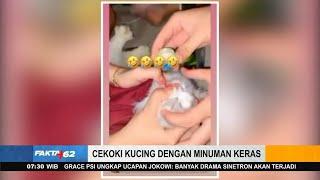 Viral, 3 Remaja Wanita Cekoki Kucing Dengan Minuman Keras - Fakta +62