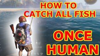 How to Catch All Fish in Once Human // Surge of Fish