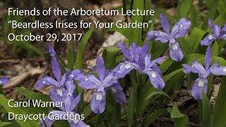 "Beardless Irises for Your Garden"