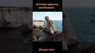 Animales gigantes petrificados ? #gigante  #asombroso #naturaleza