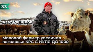 Как с нуля дойти до 1000 голов КРС?