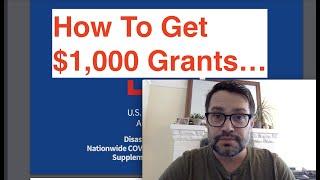 How to Get $1,000 Grants | Updated EIDL Grant Recipient Lookup