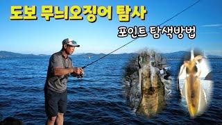 도보 무늬오징어 탐사 (구산면)