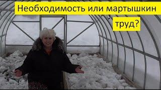 Нужно ли накидывать снег в теплицы? Ольга Чернова.