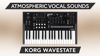 KORG WAVESTATE Series  22 ATMOSPHERIC VOCAL SOUNDSET