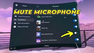 Oculus Meta Quest 2 : How to Mute Microphone