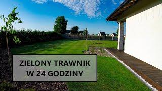 ZIELONY TRAWNIK W 24 GODZINY (trawnik, nawożenie trawnika, nawożenie dolistne, nawóz dolistny)