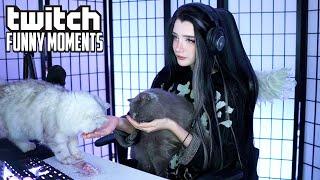 Топ Моменты с Twitch | Изменила Свой Стиль