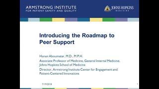 Introducing the Roadmap to Peer Support