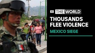 Mass displacement as residents flee gang violence in Mexican town of Tila | The World