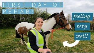 First Day of my Horse's Rehab | Recovery from a Bone Fracture | Riding With Rhi Yard Vlog