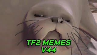 TF2 MEMES V44