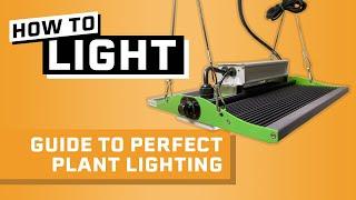 Daily Light Integral Explained - The BEST Way to Measure Plant Lighting for Hydroponics