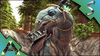 MUTATED PARACER! PARACERATHERIUM TAMING, BREEDING AND MUTATION! - Ark: RAGNAROK [DLC Gameplay E13]