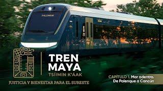 Tren Maya: Mar adentro. De Palenque a Cancún