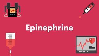 Epinephrine - Vasopressors & Inotropes - MEDZCOOL