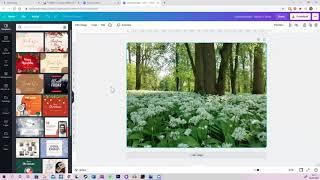 How to Resize an Image in Canva. This is so SIMPLE, FAST and EASY. Includes how to compress images.