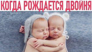 КАК ЧАСТО РОЖДАЮТСЯ ДВОЙНЯШКИ | Через сколько поколений рождаются двойняшки