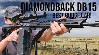 Diamondback DB15 - Review (2,000 Rounds Later)