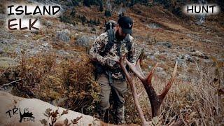 Roosevelt Elk Hunt British Columbia 2024