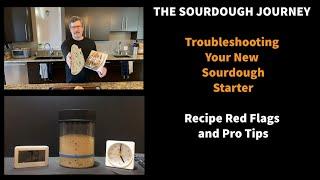 Troubleshooting Your New Sourdough Starter: Recipe RED FLAGS and Pro Tips