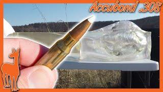 Nosler Accubond 308 Winchester Ballistics Gel Test  100 Yards