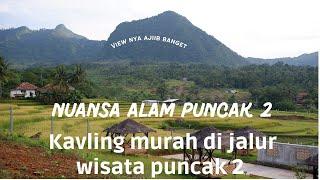 Update Progress Nuansa Alam Puncak 2 || Kavling Murah di Jalur Wisata Puncak 2