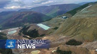 Cyanide found in creek from Eagle Gold Mine says minister | APTN News