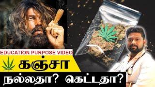 கஞ்சா அடிச்சா என்னாகும்? Ganja - Good or Bad..?? | Ganja in Tamil | Dr. Sabarinath Ravichandar