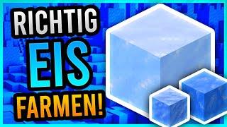 RICHTIG EIS FARMEN in MINECRAFT ️(Tutorial)  Minecraft 1.21  ErikOnHisPeriod