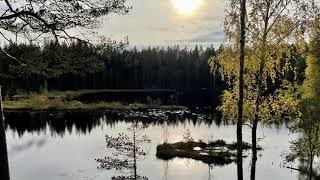 Finnish Nature Poems by Aleksis Kivi & Eino Leino