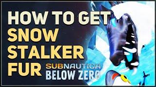 How to get Snow Stalker Fur Subnautica Below Zero