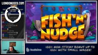 FISH'N'NUDGE  HUGE WIN, LONG BONUS  VIHISLOTS TWITCH STREAM