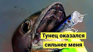 Тунец оказался сильней! Боль и разочарование!