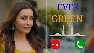 Evergreen (Official Video) Jigar | Kaptaan | Desi Crew | Nikkesha Mohit Pal 06