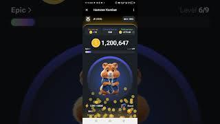 Hamster Kombat Air drop Pro tips! Earn massively from now