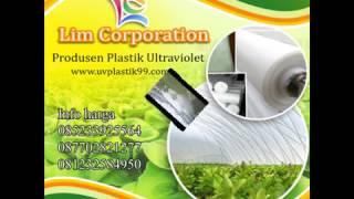 Produsen Plastik UV Greenhouse