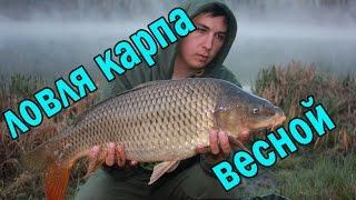 Ловля карпа весной. Карпфишинг