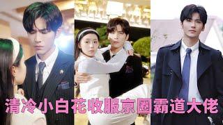 Cinderella got pregnant with CEO Wang Yiran's child and was married to him and spoiled by him