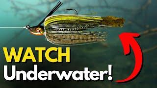 Never Go Bass Fishing Without This Lure (Have it Ready)