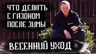 Как правильно ухаживать за рулонным газоном весной