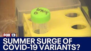 New COVID-19 variant could cause summer surge | FOX 13 Seattle