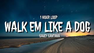 Saucy Santana - Walk Em Like a Dog (1 HOUR LOOP) [TikTok song]