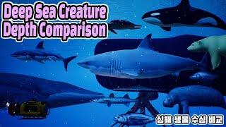 Deep Sea Creature Depth Comparison (심해 생물 수심 비교) (feat. Sea Monsters Size Comparison)