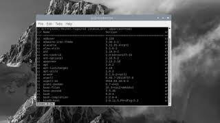 RaspberryPi: #4 How to Install and Uninstall packages