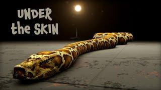 Inside Nature’s Giants – Monster Python